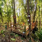 Riba Rio - Unique Nature Spot بونتي دي ليما