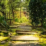 Riba Rio - Unique Nature Spot بونتي دي ليما