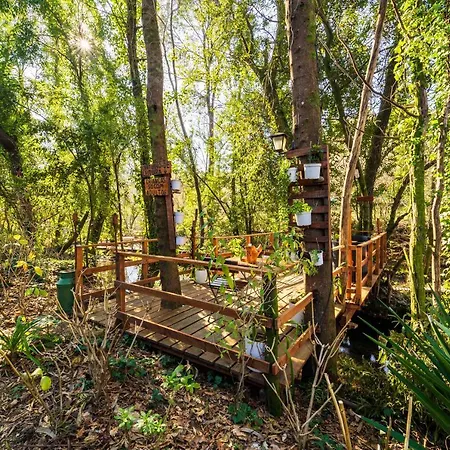 Riba Rio - Unique Nature Spot 폰테 데 리마