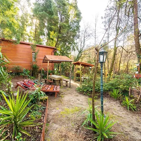 Riba Rio - Unique Nature Spot 폰테 데 리마