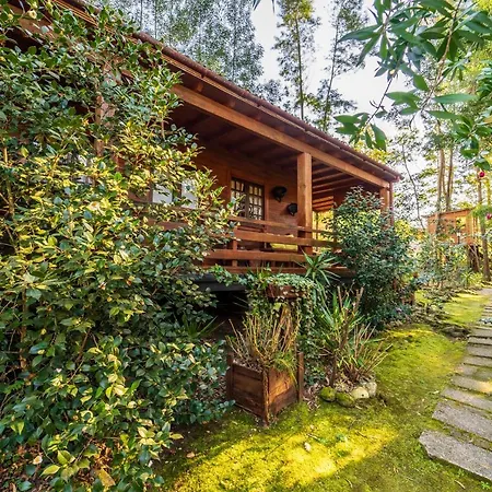 Riba Rio - Unique Nature Spot 폰테 데 리마