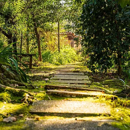 Riba Rio - Unique Nature Spot بونتي دي ليما