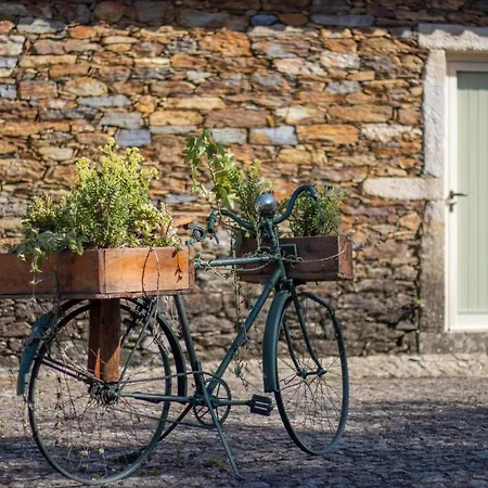 Riba Rio - Unique Nature Spot Понте-де-Лима