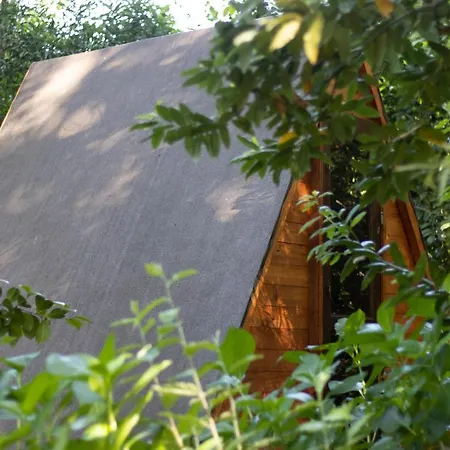 Riba Rio - Unique Nature Spot بيت خشبي بونتي دي ليما