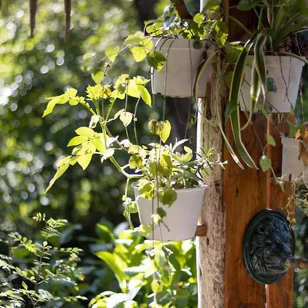 Riba Rio - Unique Nature Spot * Понте-де-Лима