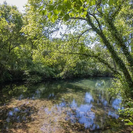Lodge Riba Rio - Unique Nature Spot