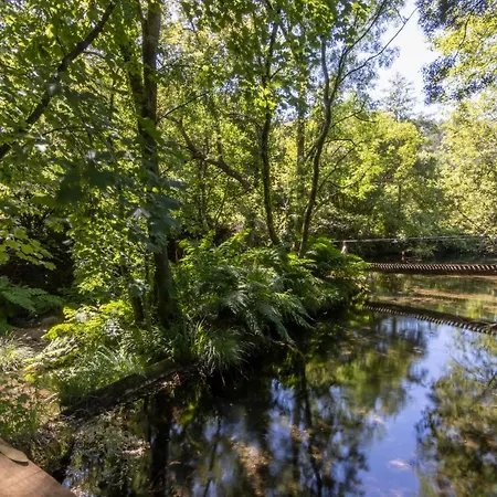 Riba Rio - Unique Nature Spot *