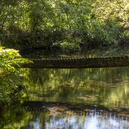 Riba Rio - Unique Nature Spot *
