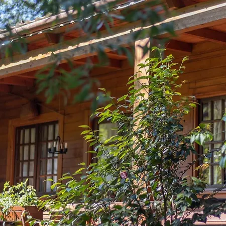 Riba Rio - Unique Nature Spot