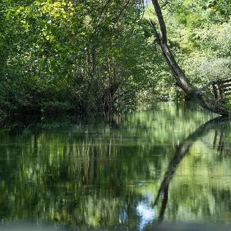 Riba Rio - Unique Nature Spot Alojamento de Turismo Selvagem