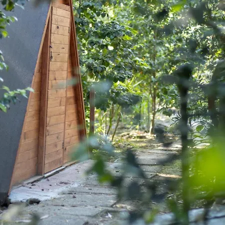 Riba Rio - Unique Nature Spot * بونتي دي ليما