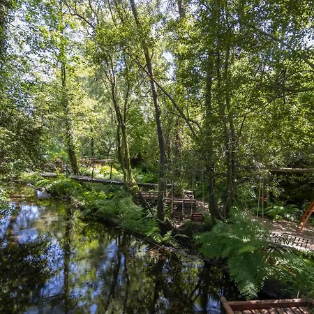 Lodge Riba Rio - Unique Nature Spot *