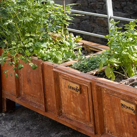 Деревянный коттедж Riba Rio - Unique Nature Spot *