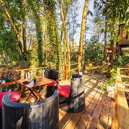 Riba Rio - Unique Nature Spot بيت خشبي *