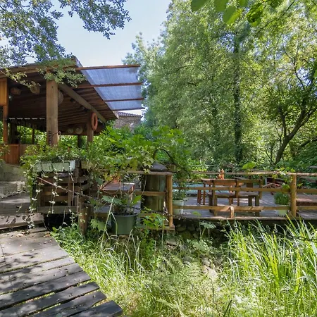 Riba Rio - Unique Nature Spot بيت خشبي *