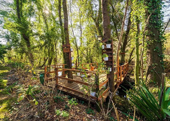 Riba Rio - Unique Nature Spot Ponte de Lima