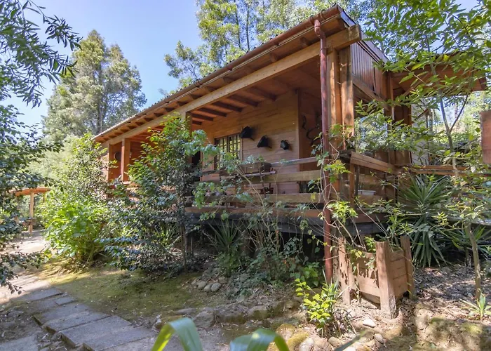 Riba Rio - Unique Nature Spot *