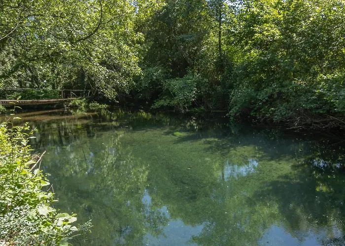 Riba Rio - Unique Nature Spot