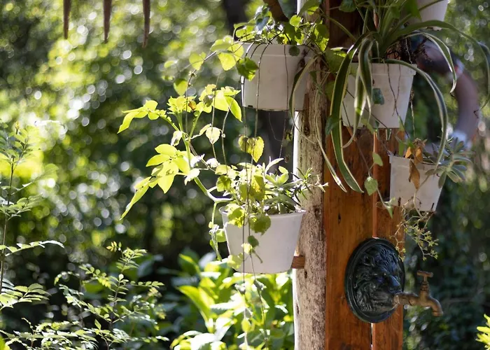 Riba Rio - Unique Nature Spot * Ponte de Lima