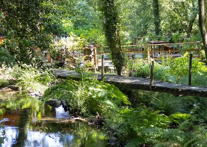 Riba Rio - Unique Nature Spot Lodge