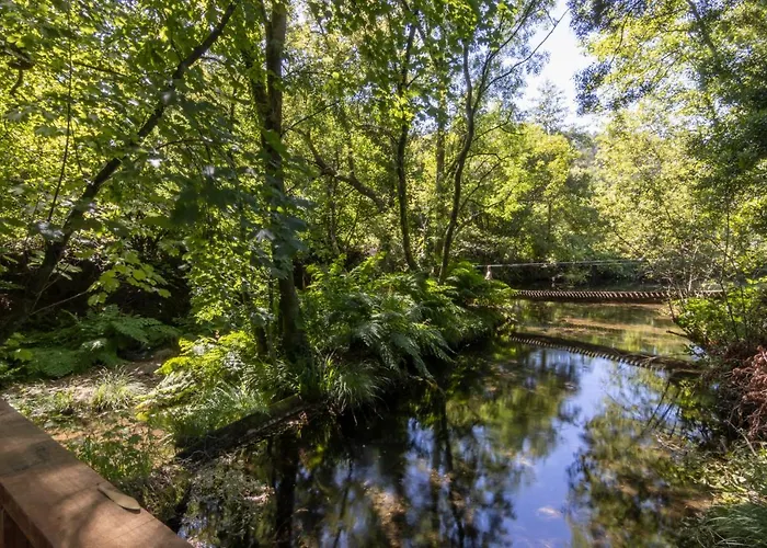 Riba Rio - Unique Nature Spot *