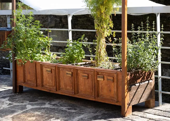 Riba Rio - Unique Nature Spot Lodge *