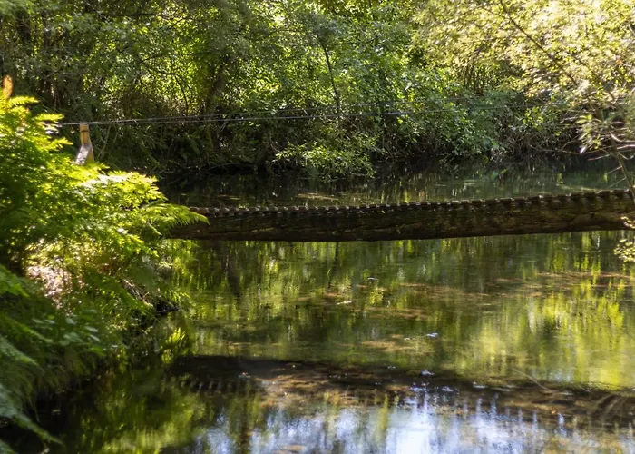 Riba Rio - Unique Nature Spot *
