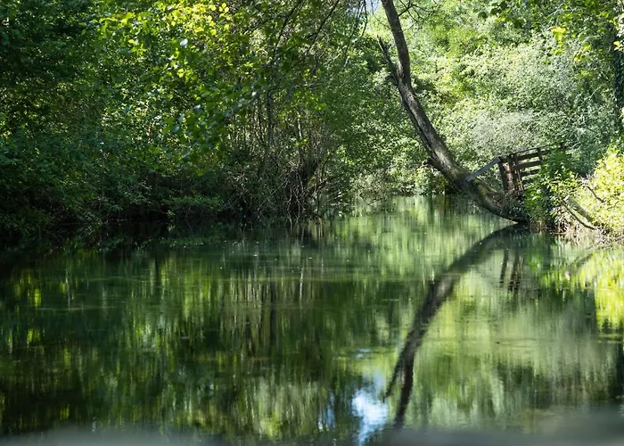 Riba Rio - Unique Nature Spot Chata