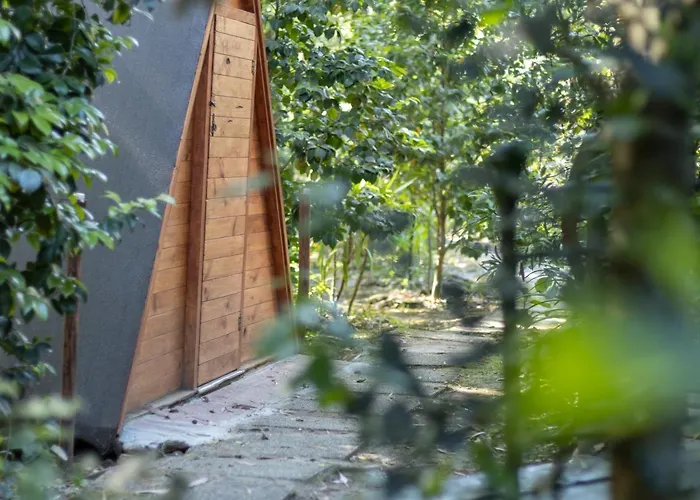 Riba Rio - Unique Nature Spot * Ponte de Lima